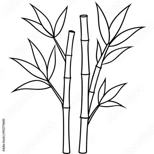 Bamboo Vector line Art on White Background