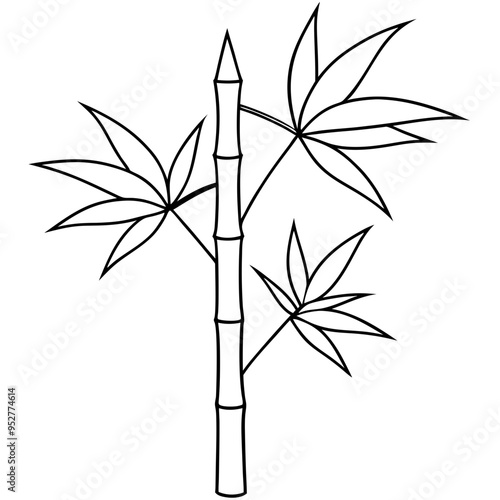 Bamboo Vector line Art on White Background