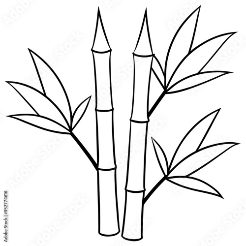 Bamboo Vector line Art on White Background