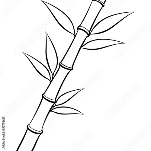 Bamboo Vector line Art on White Background