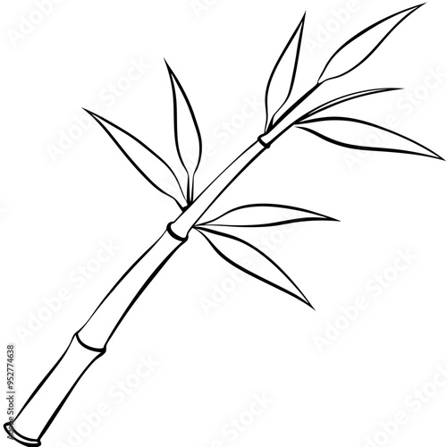 Bamboo Vector line Art on White Background