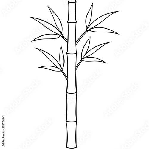Bamboo Vector line Art on White Background