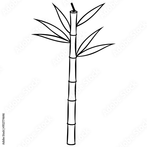 Bamboo Vector line Art on White Background