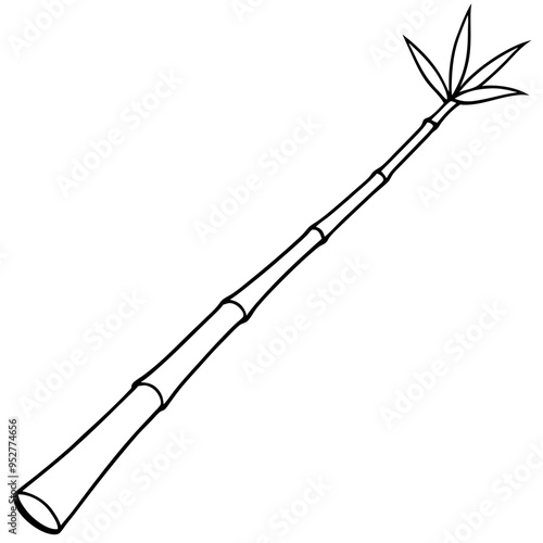 Bamboo Vector line Art on White Background