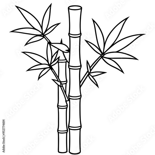Bamboo Vector line Art on White Background