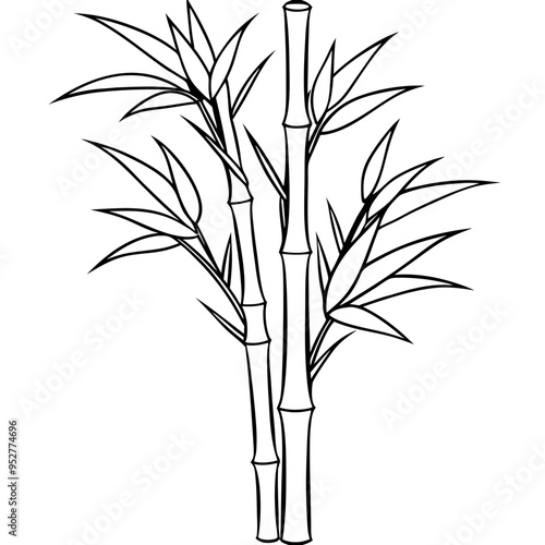 Bamboo Vector line Art on White Background