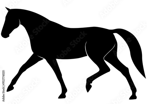 Dressurpferd 3