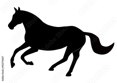 Pferd Galopp 2