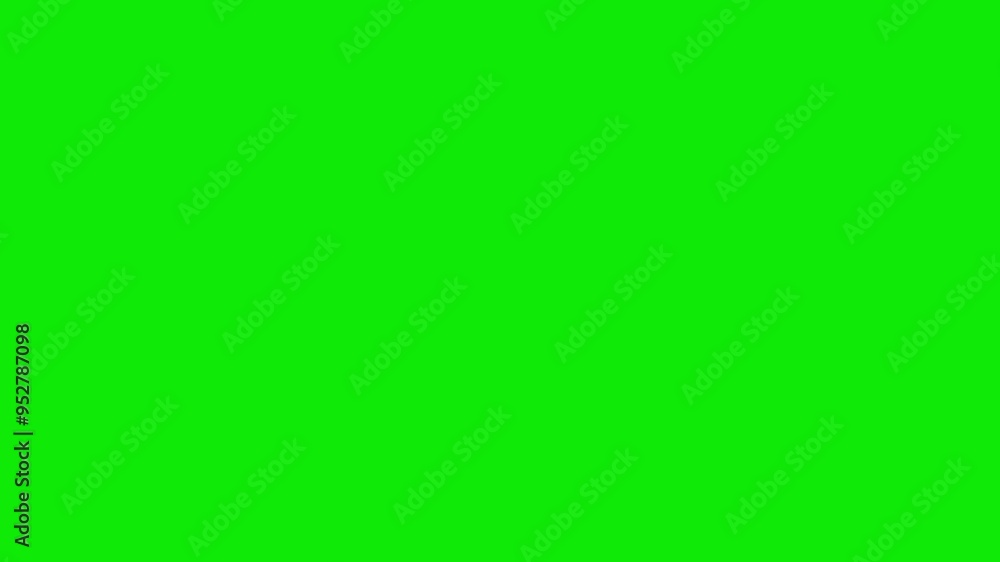 2 Black Swans - Two Wild Waterfowl Birds - Flying Over Screen Transition - IV - Green Screen - 4K 3D Animation - Symbol of unpredictable, unforeseen, fatal negative events, bad luck, force majeure 2 Black Swans - Two Wild Waterfowl Birds - Flying Over Screen Transition - IV - Green Screen - 4K 3D Animation - Symbol of unpredictable, unforeseen, fatal negative events, bad luck, force majeure