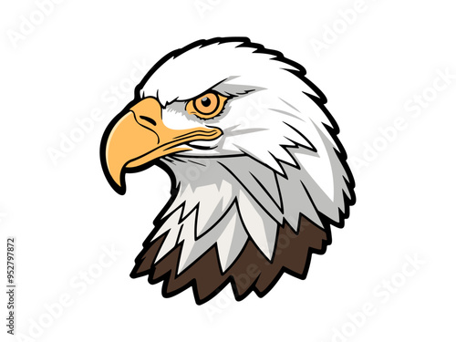 Close-up of a bald eagle head illustration