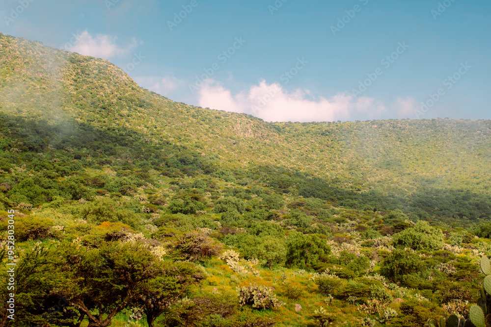 Paisaje de una montaña Paisaje de una montaña