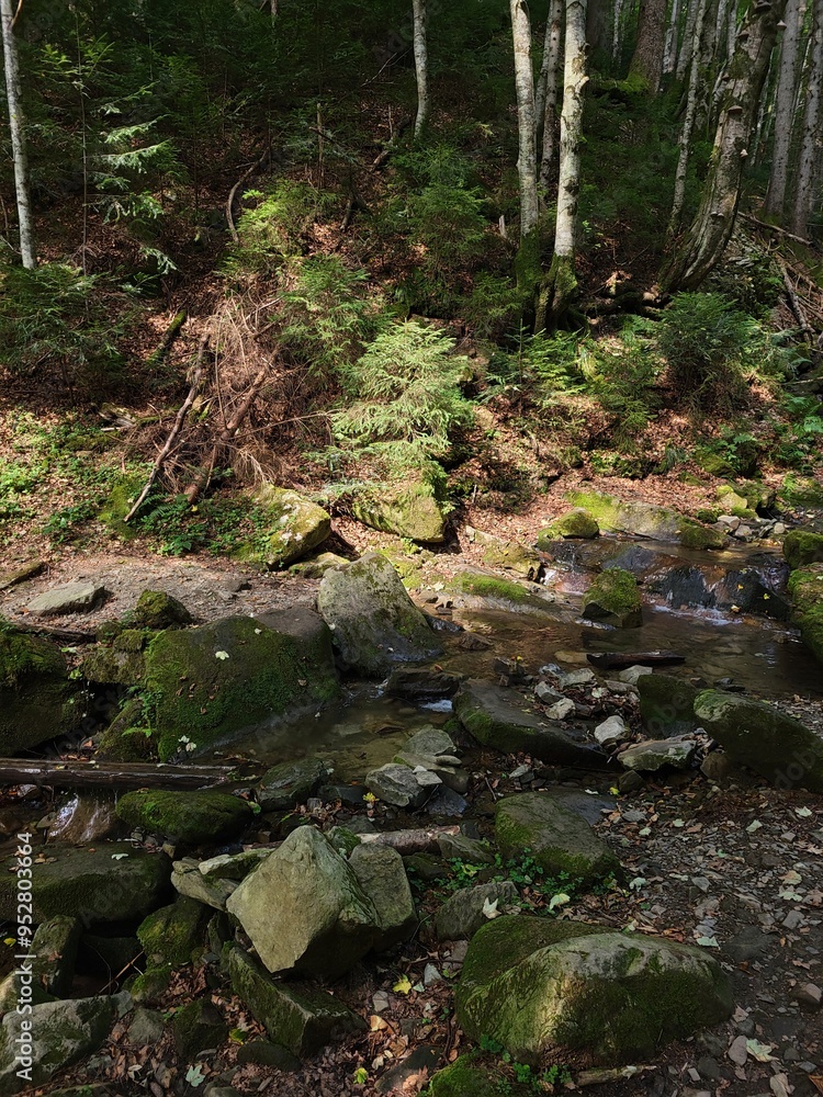 stream in the woods vertical photo stream in the woods vertical photo