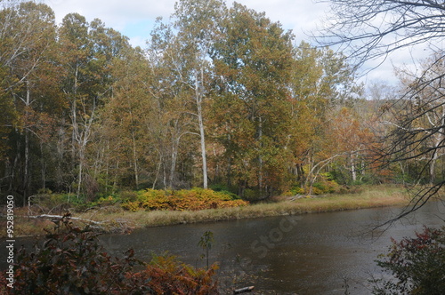 autumn scene with creek