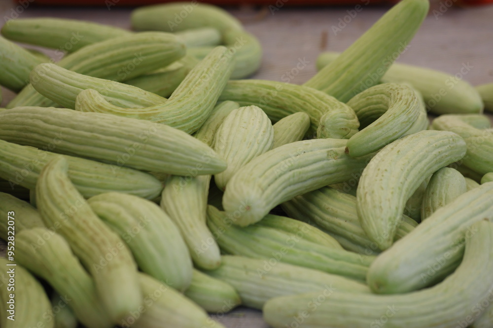 close up of Armenian cucumber in the market close up of Armenian cucumber in the market