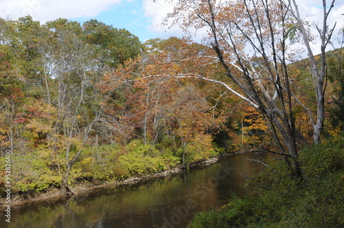 autumn scene with creek
