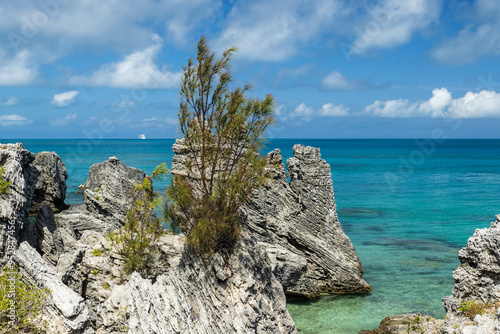 A picturesque scene of Tobacco Bay Bermuda with crystal-clear turquoise waters, reflecting the sunlight and enhancing the coastal allure