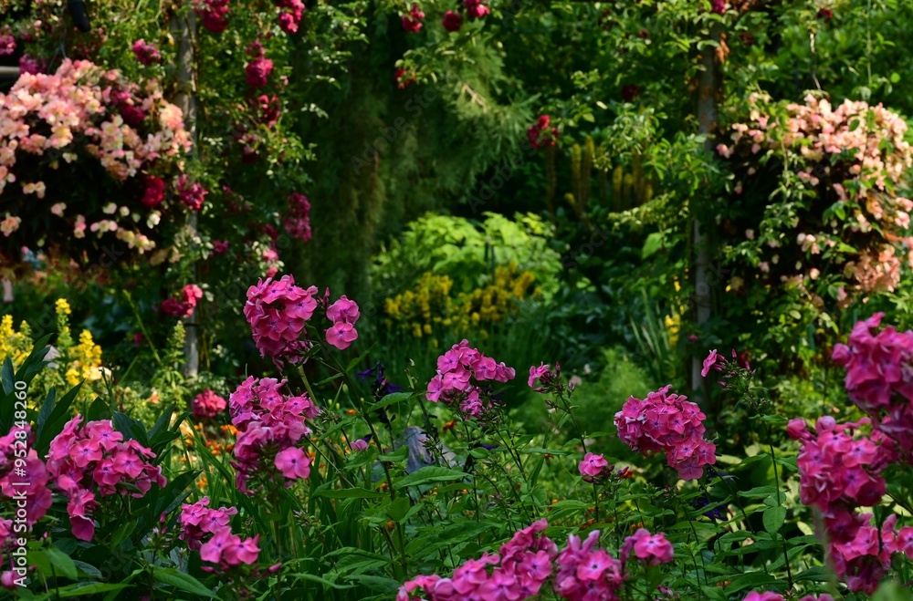 Fototapeta premium Where Nature Performs Its Colorful Symphony: A Garden's Blooming Marvels of British Columbia, Canada