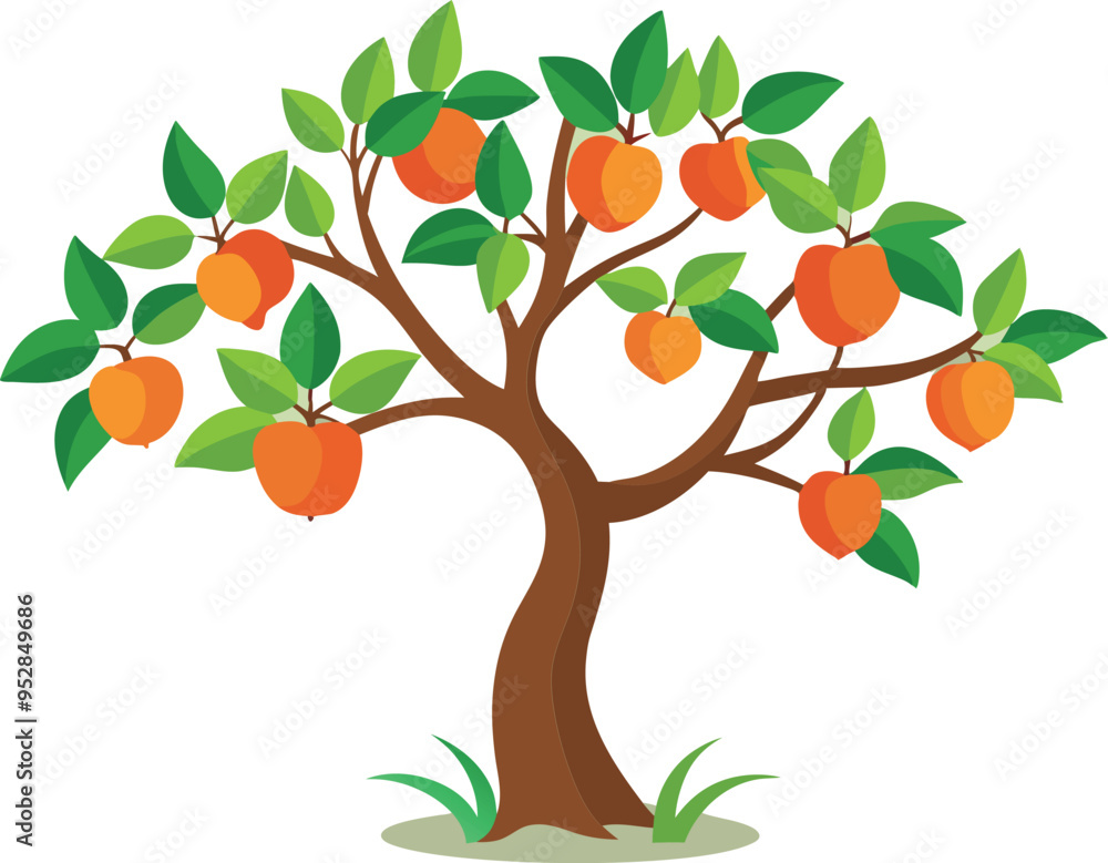 Peach tree Isolated flat vector illustration. Peach tree Isolated flat vector illustration.