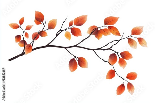 Vibrant Autumn Tree Branch on White Background