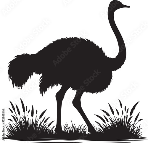 Ostrich silhouette, vector black color silhouette solid white background photo