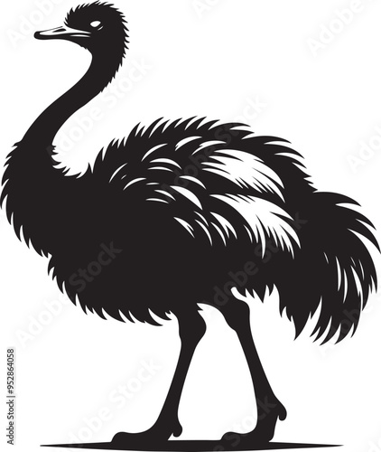 Ostrich silhouette, vector black color silhouette solid white background photo