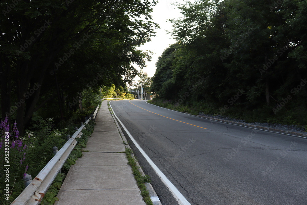 Obraz premium A road and an hill in the woods. A sidewalk beside a road and in summer. The asphalt on a road and transportation. 