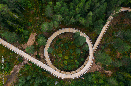 Hamaren Activity Park Green Pines trees aerial top view with curved Treetop Walk. Traveling, architecture design and beauty in Nature concept image. Summer Norway, Europe.