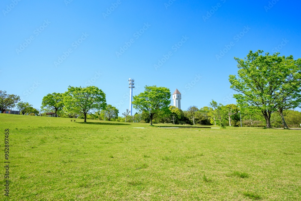 大府市、あいち健康の森公園の芝生広場 大府市、あいち健康の森公園の芝生広場