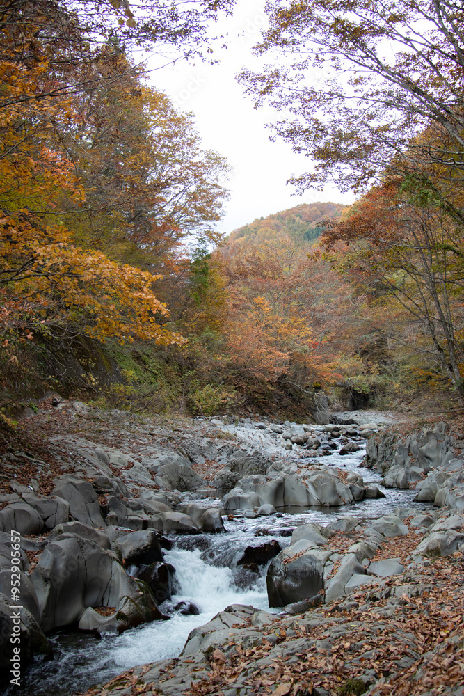 Obraz premium 中津川渓谷_福島県（10月）