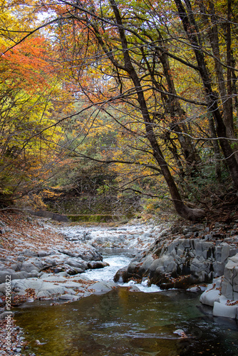 中津川渓谷_福島県（10月）