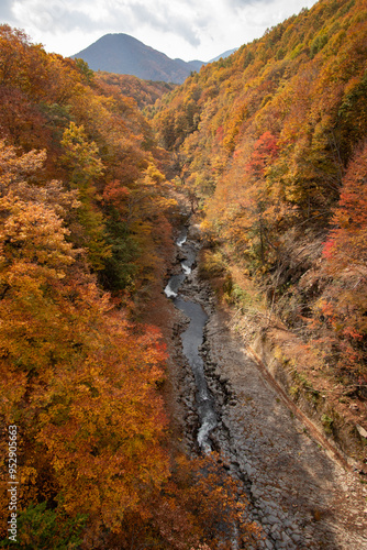 中津川渓谷_福島県（10月）