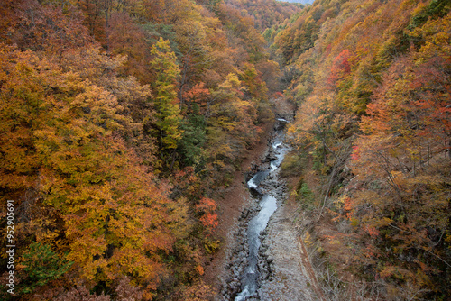 中津川渓谷_福島県（10月）