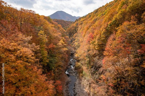中津川渓谷_福島県（10月）
