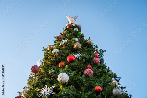Looking up at a large Christmas tree