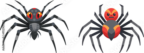 Spider Animal flat vector illustration on white background. 