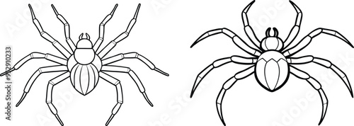 Spider Animal flat vector illustration on white background. 
