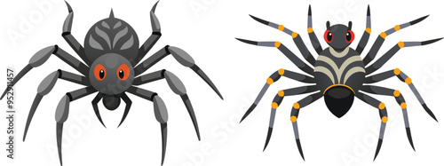 Spider Animal flat vector illustration on white background. 
