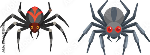 Spider Animal flat vector illustration on white background. 