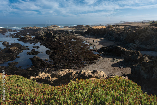 Dramatic image of glass beach in fort brag, California, with calm bay waters and green plants in the foreground. photo