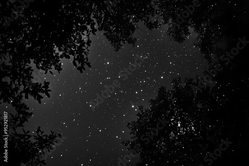 Cosmic Beauty: Stars Dotted Over a Midnight Black Sky