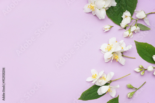 Composition with beautiful jasmine flowers and leaves on lilac background