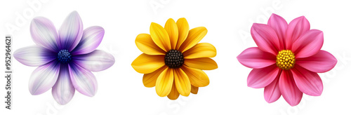 Colorful flower head icons set, isolated spring summer blossoms collection, flat botanical illustrations with petals and stems, garden elements for design, floral graphics, beauty bloom