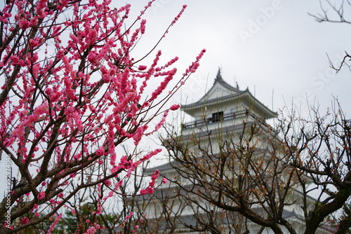 梅が咲く島原城天守閣
