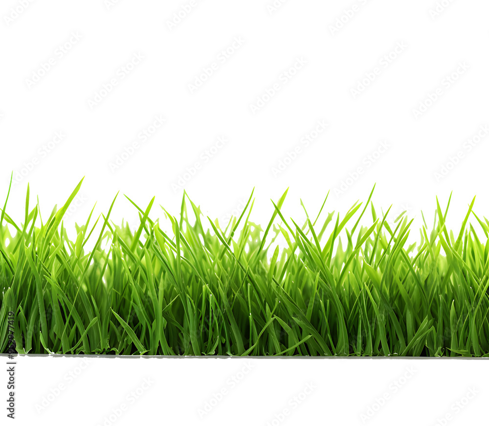 Fototapeta premium Green grass frame isolated on transparent background