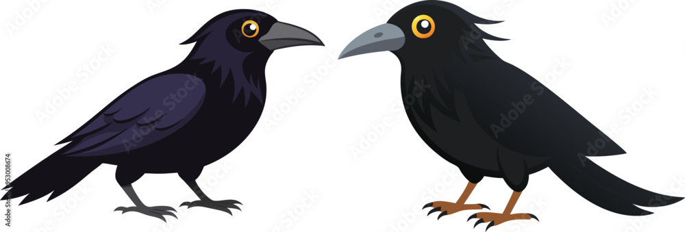 crow illustration on white crow illustration on white