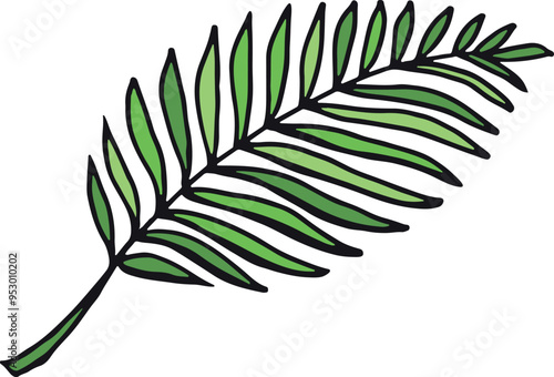 Palm frond color doodle. Tropical tree leaf