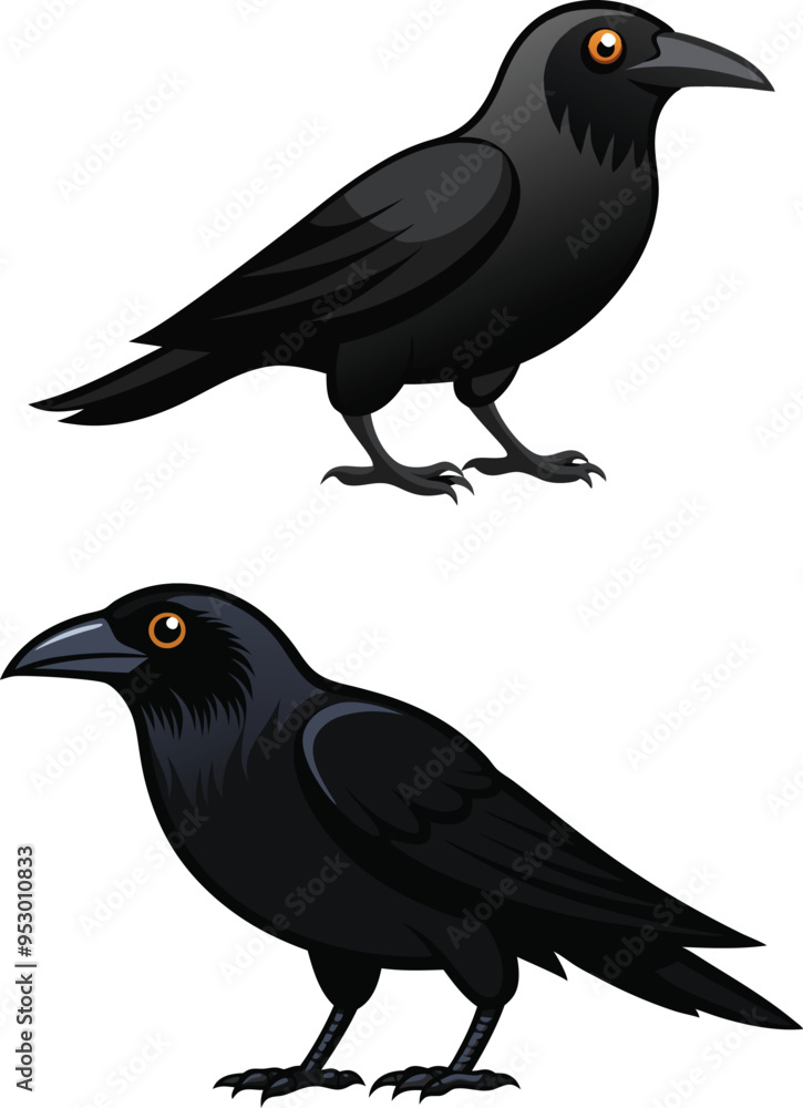 Obraz premium crow illustration on white 