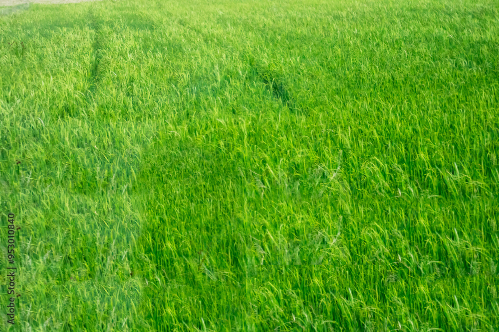 Agriculture and the food industry in food production Agriculture and the food industry in food production