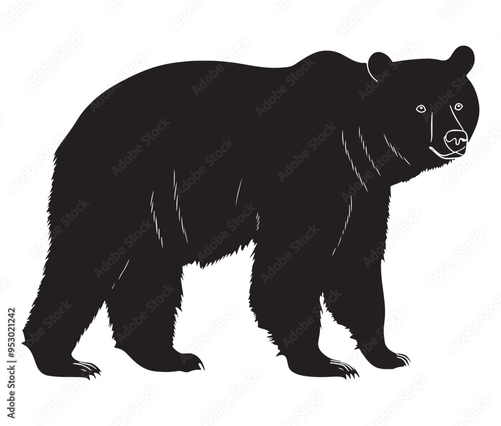 Fototapeta premium silhouette of bear vector illustration. polar bear vector
