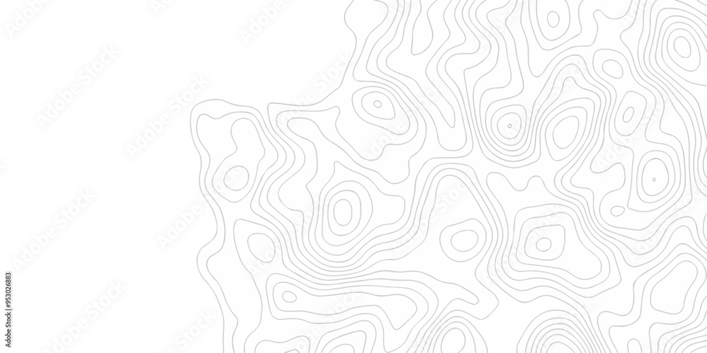 Vector topo map seamless wave topography map pattern grid cartography. diagram black and white geometric carve wave line. abstract landscape topography line wavy texture design background. Vector topo map seamless wave topography map pattern grid cartography. diagram black and white geometric carve wave line. abstract landscape topography line wavy texture design background.